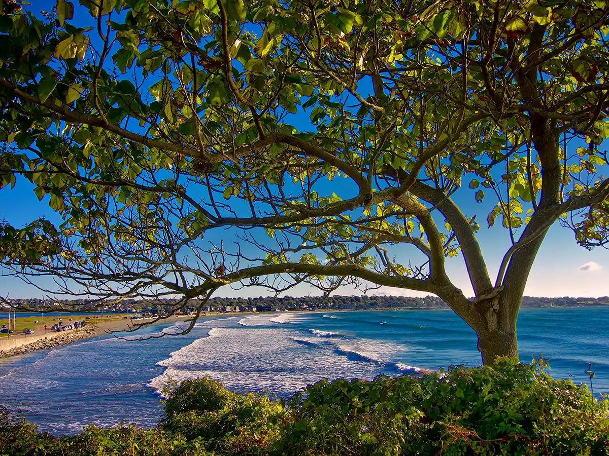 Explore Newport 2